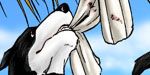 FMA Chapter 82 cover thumbnail